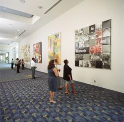 Art Collecting